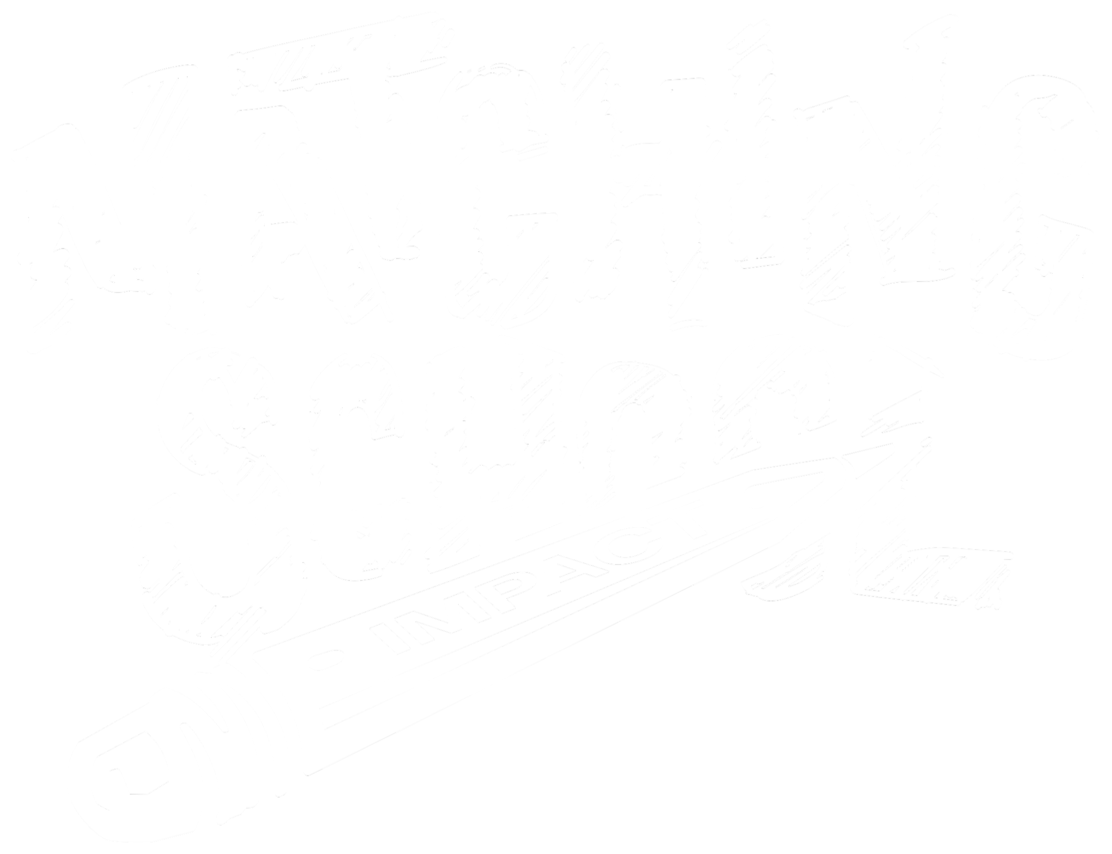 matching-school-impact-white-logo-1